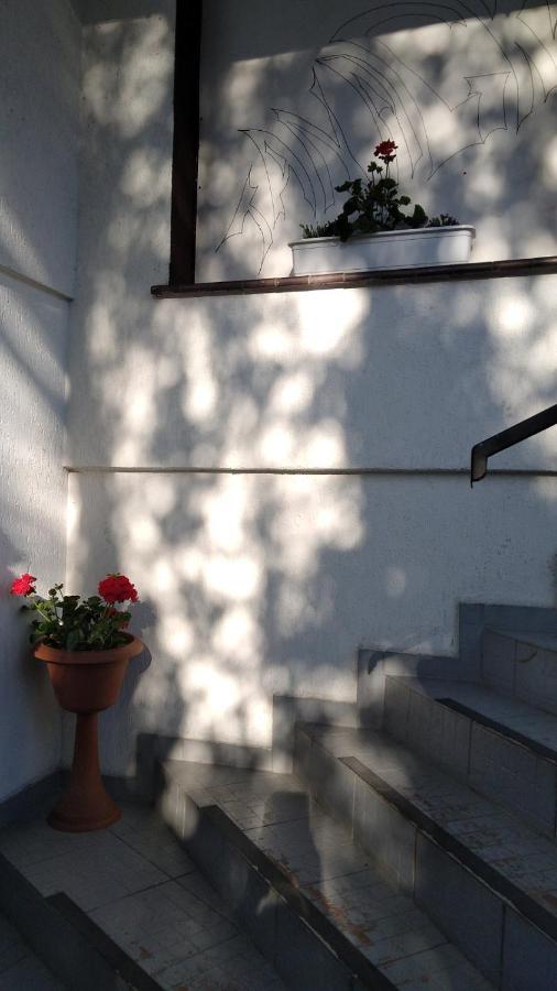 Tanagra Guest house Poznan