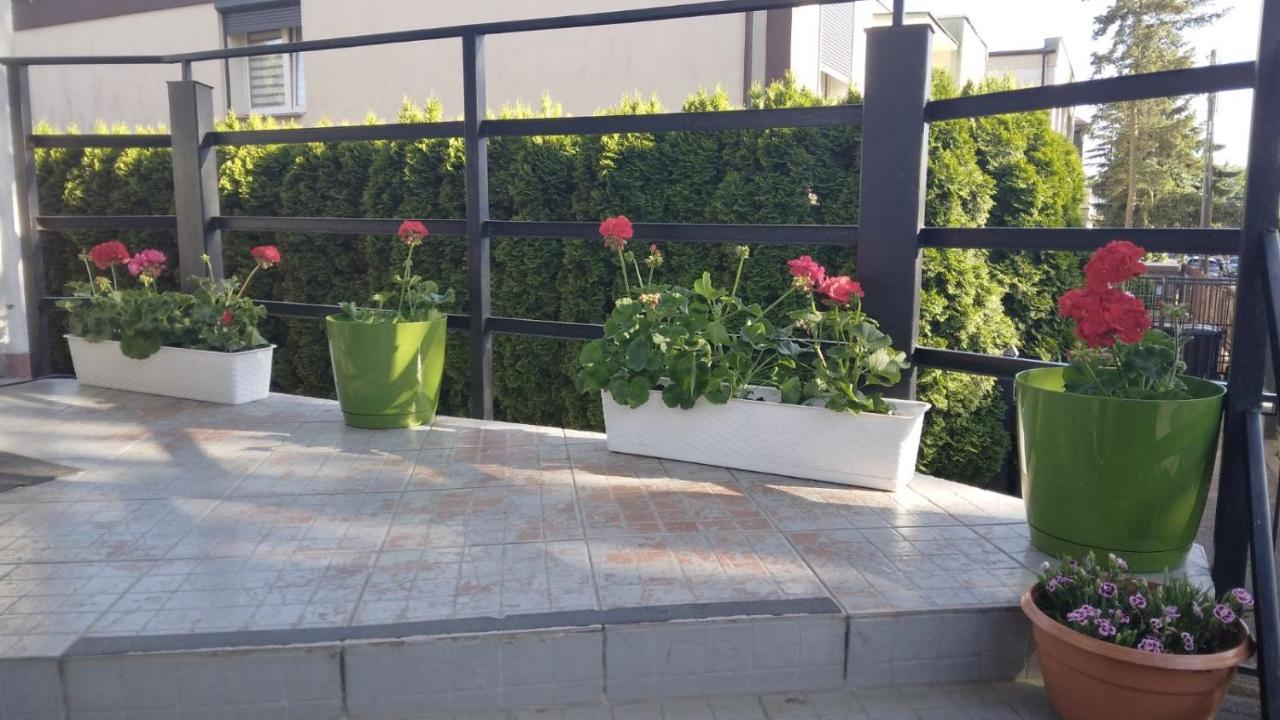 Tanagra Guest house *